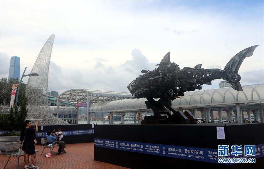 （文化）（1）香港举办“鲨鱼与人类”当代艺术展