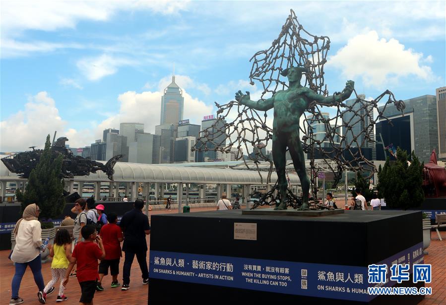 （文化）（2）香港举办“鲨鱼与人类”当代艺术展