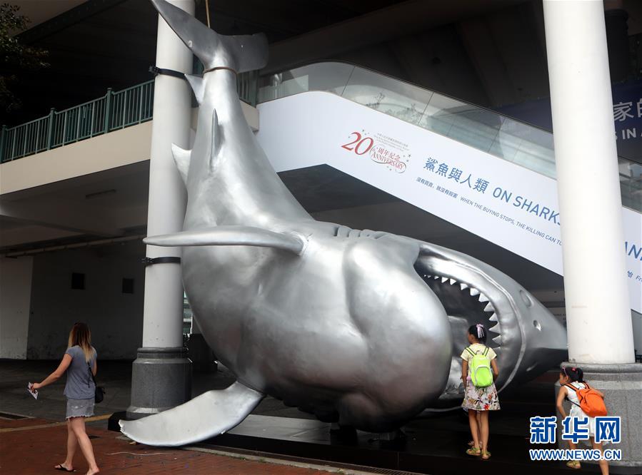 （文化）（3）香港举办“鲨鱼与人类”当代艺术展