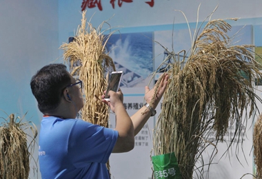 参访团在中国科学院参观 了解祖国科技新发展