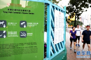 细节之处看香港：&ldquo;石屎森林&rdquo;里的袖珍公园