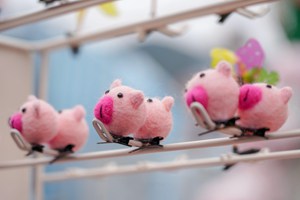 猪年贺岁：创意&ldquo;猪仔&rdquo;满维园