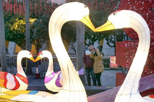 香港举行&ldquo;元宵彩灯会&rdquo;